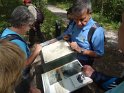 2014-06-05 15-29-02 Foret de Fontainebleau DLe
